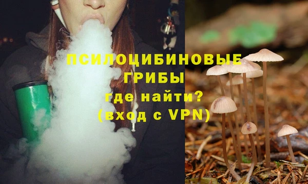 наркотики Алексин