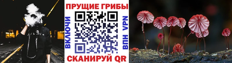 Псилоцибиновые грибы мухоморы  цены   Тулун 